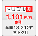 トリプル割 -1101円/月
