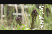 苫小牧散策